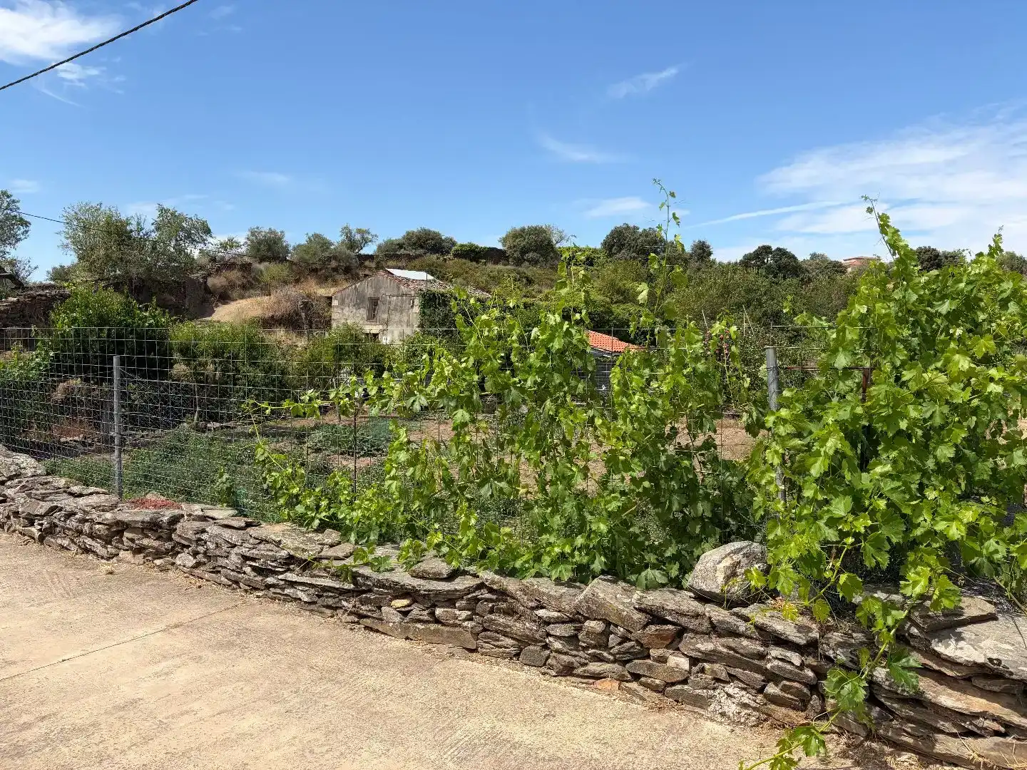 Jardí de Pis en venda en Ahigal de los Aceiteros amb Traster, Moblat i Balcó