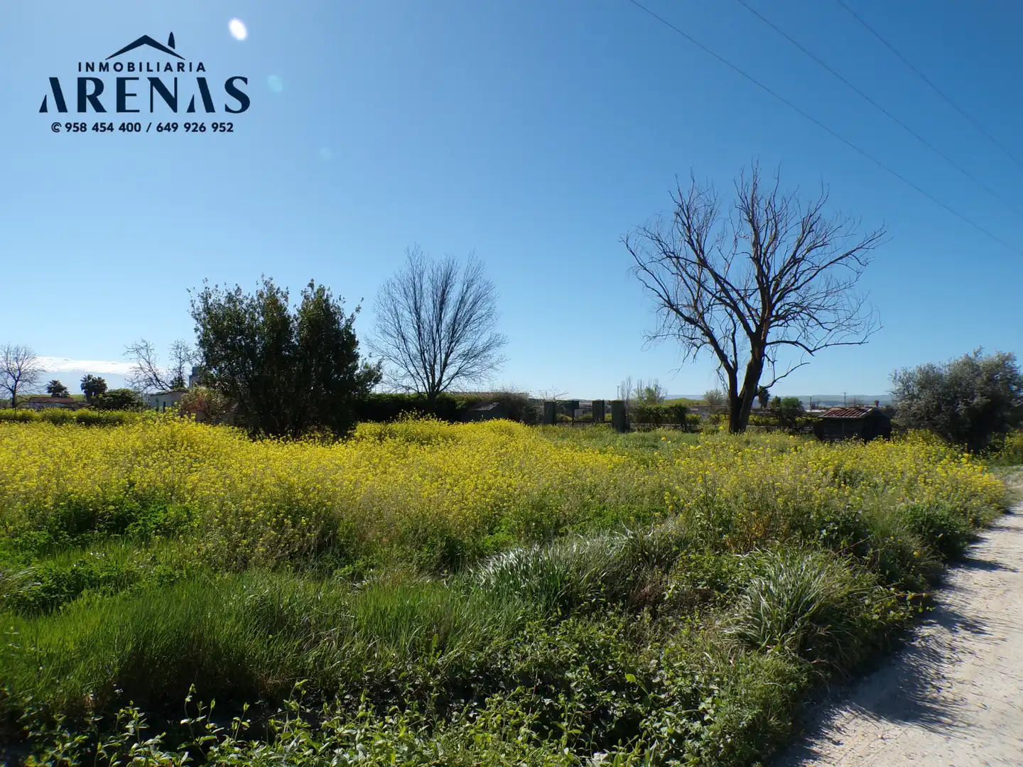 Terrains et parcelles à vendre à Calle Pedro Salinas, imagen 9