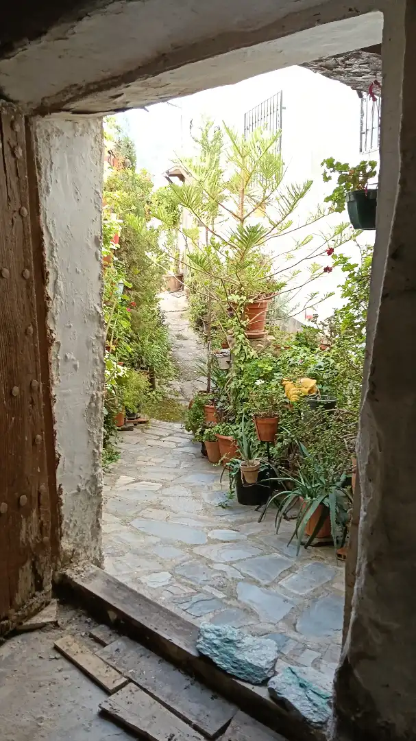 Casa con jardín en venta en Calle Santa Teresa, imagen 35