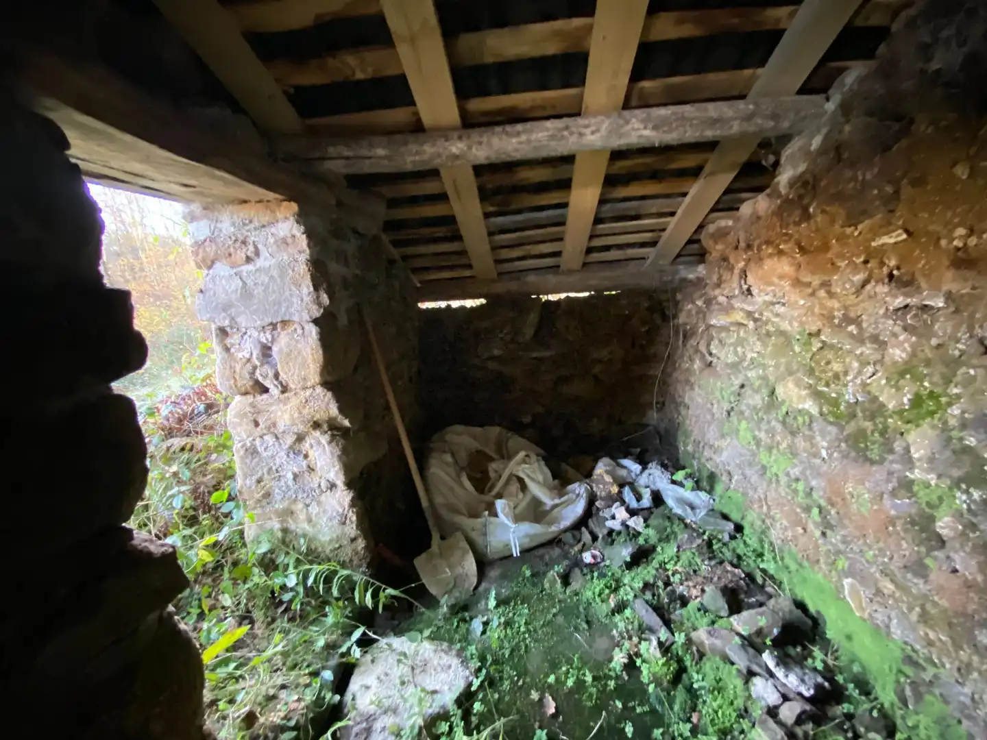 Terreno rustico in vendita a Cangas de Onís, imagen 11
