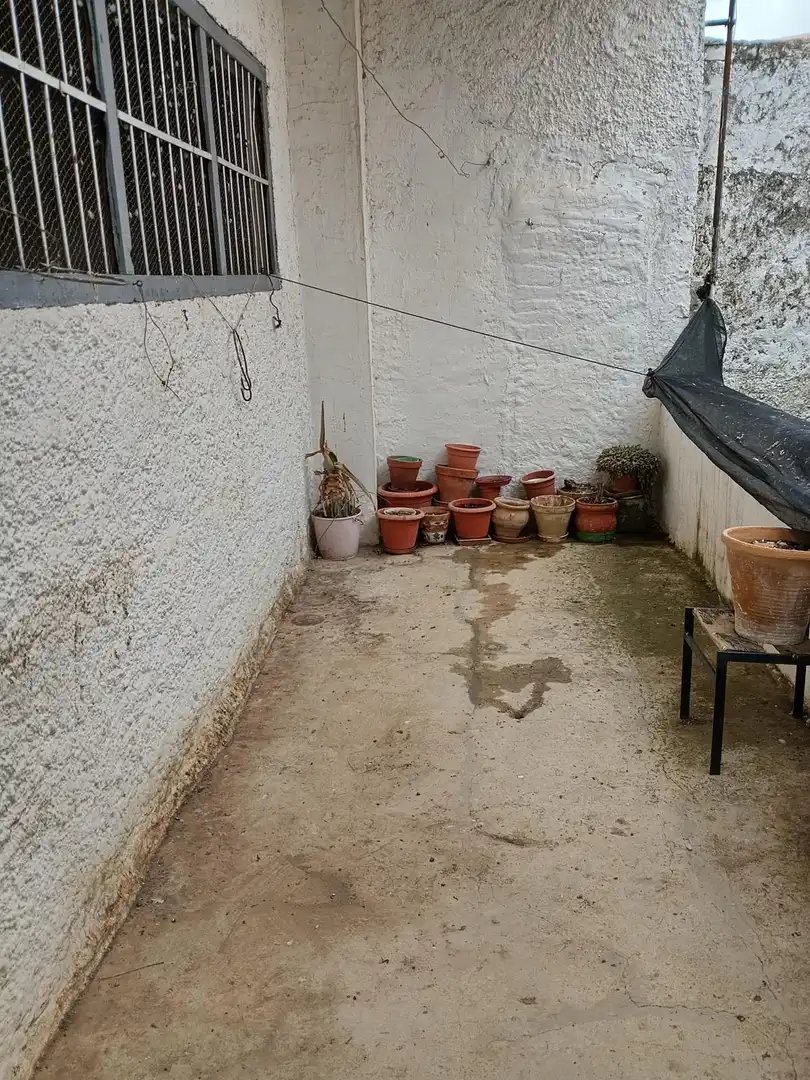 Jardín de Casa o chalet en venta en Guadahortuna