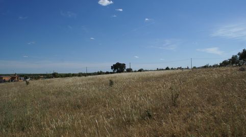 FINCA DE RECREO CARRETERA CAMPOMAYOR., imatge 4