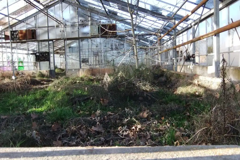 Jardín de Terreno industrial en venta en Les Borges Blanques