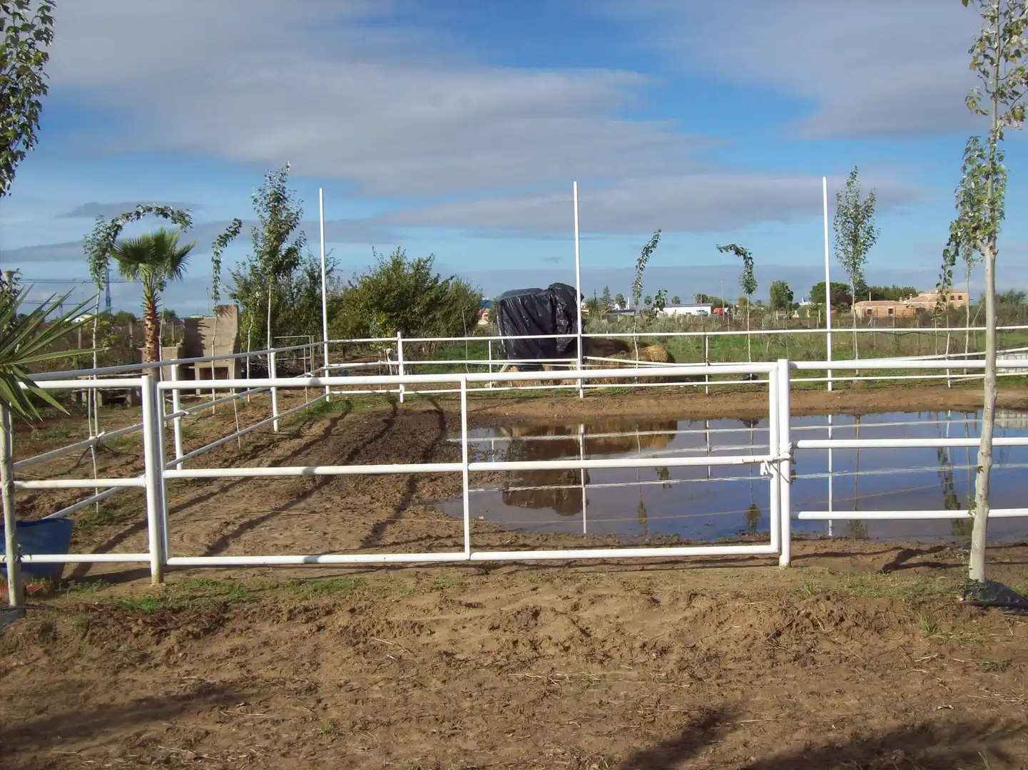 Chalet con piscina en venta en Villanueva de la Serena, imagen 14