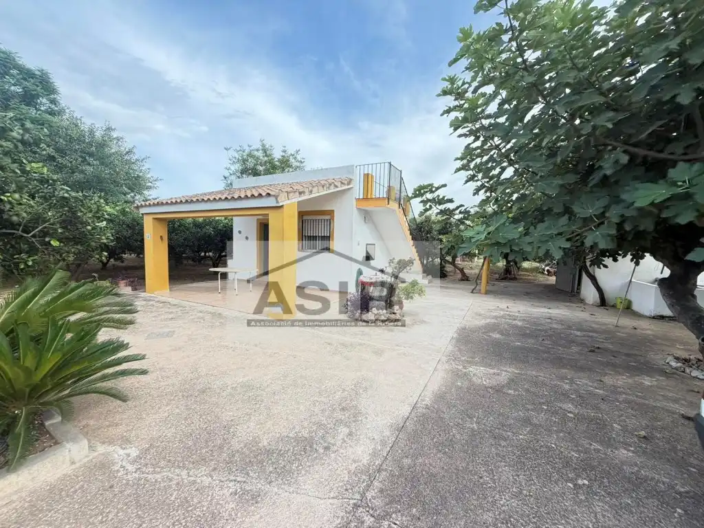 Exterior view of Houses for sale in Benicull de Xúquer
