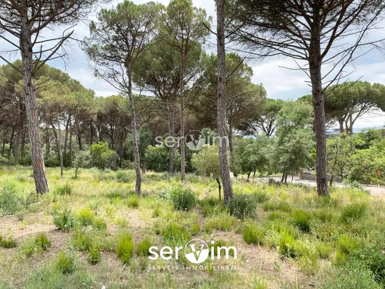 Terrain résidentiel à vendre à Avenida Malavella 208, imagen 5