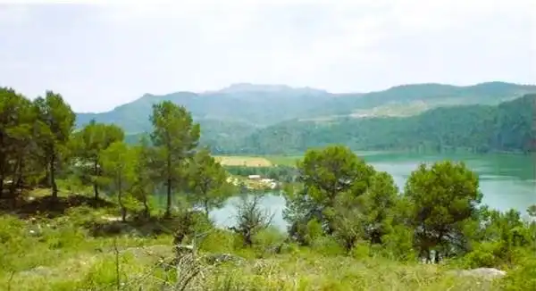 Lands and plots for sale in Els Guiamets, imagen 34