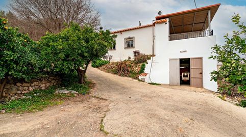 Finca con vivienda y explotación agrícola rentable  hogar, naturaleza e ingresos consolidados, imagen 2