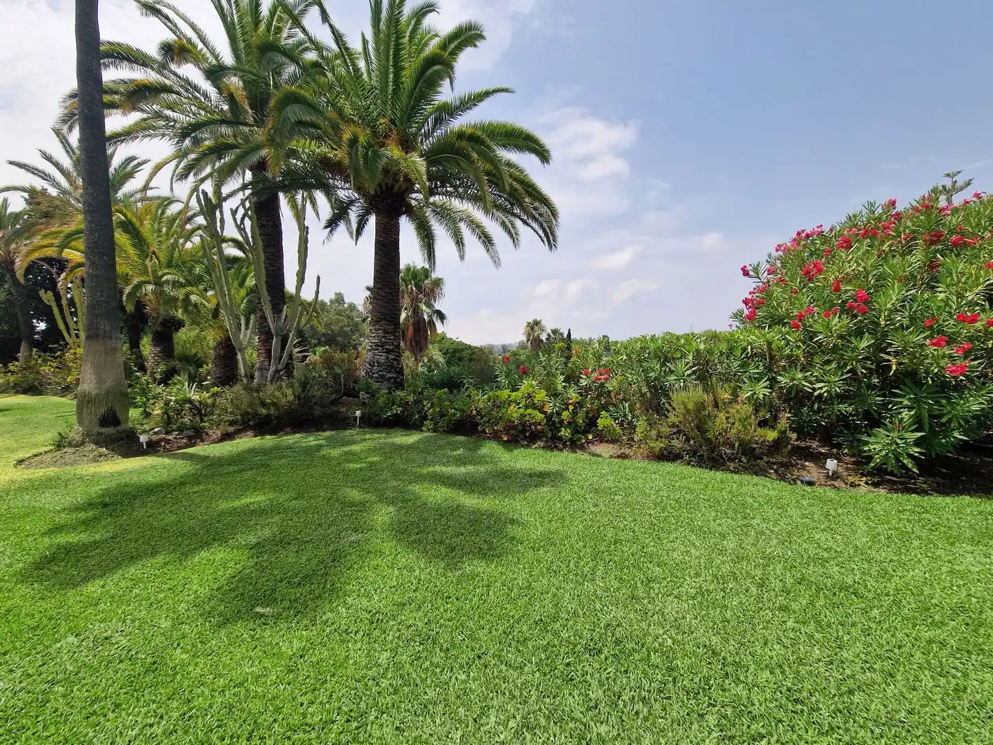 Chalet con piscina en venta en Calle la Pacheca Alta 22, imagen 22