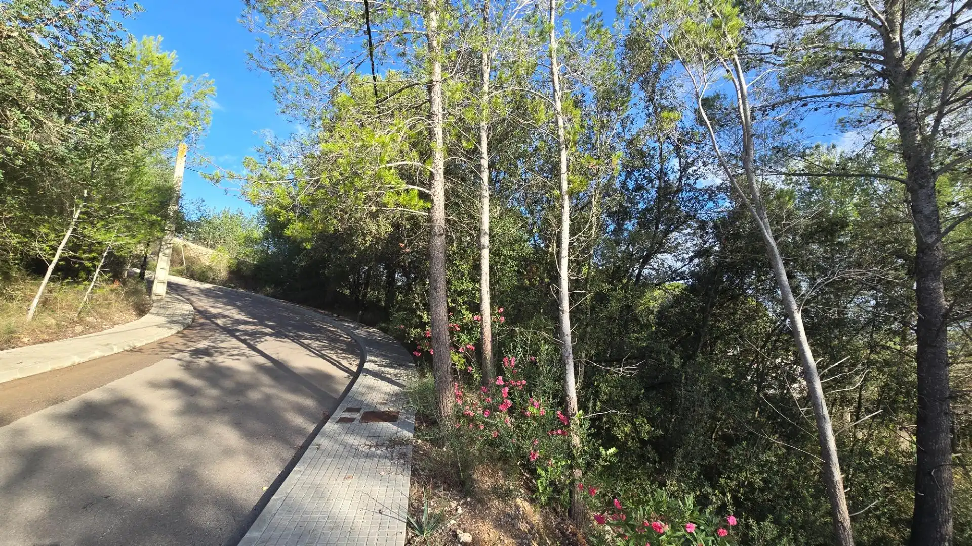 Wohnbaugrundstück zum Verkauf in Carrer de Coster de Son Puça, imagen 8