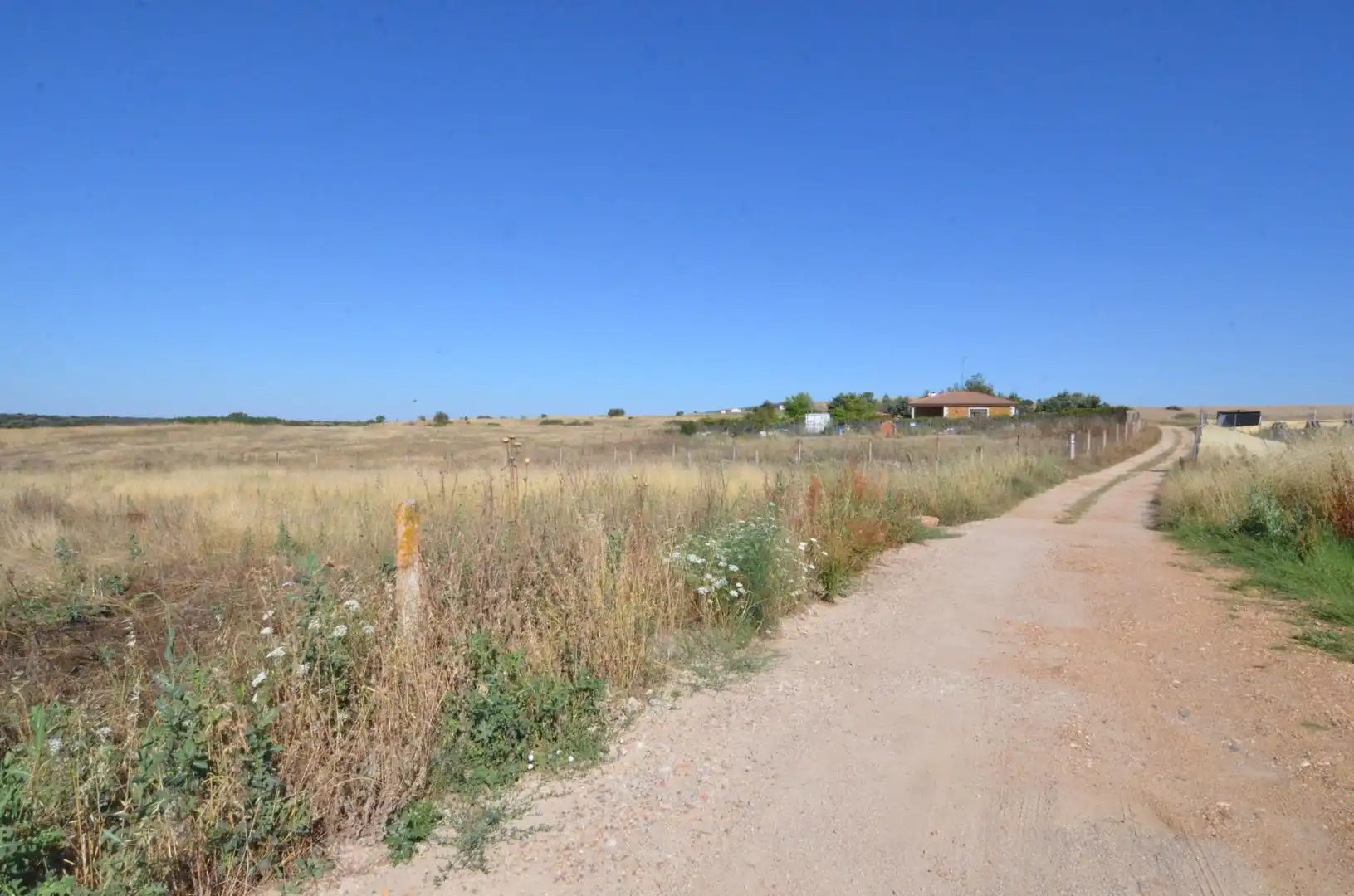 Rustikales Grundstück zum Verkauf in Almenara de Tormes, imagen 3