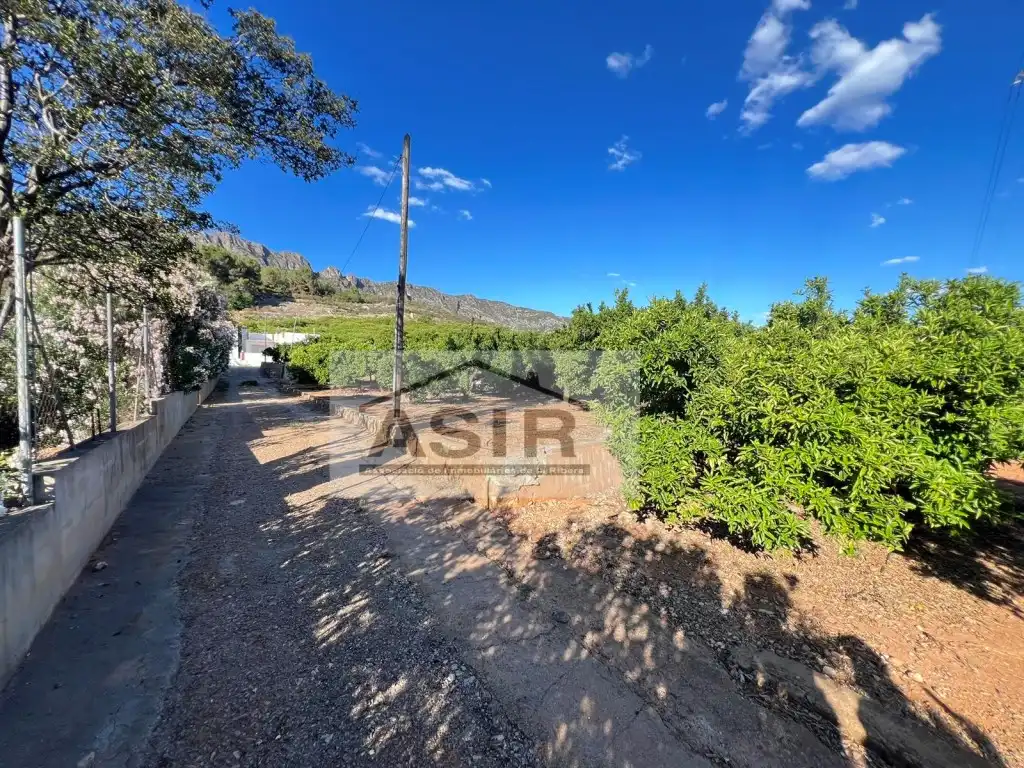 Vista exterior de Terreno en venta en Alzira
