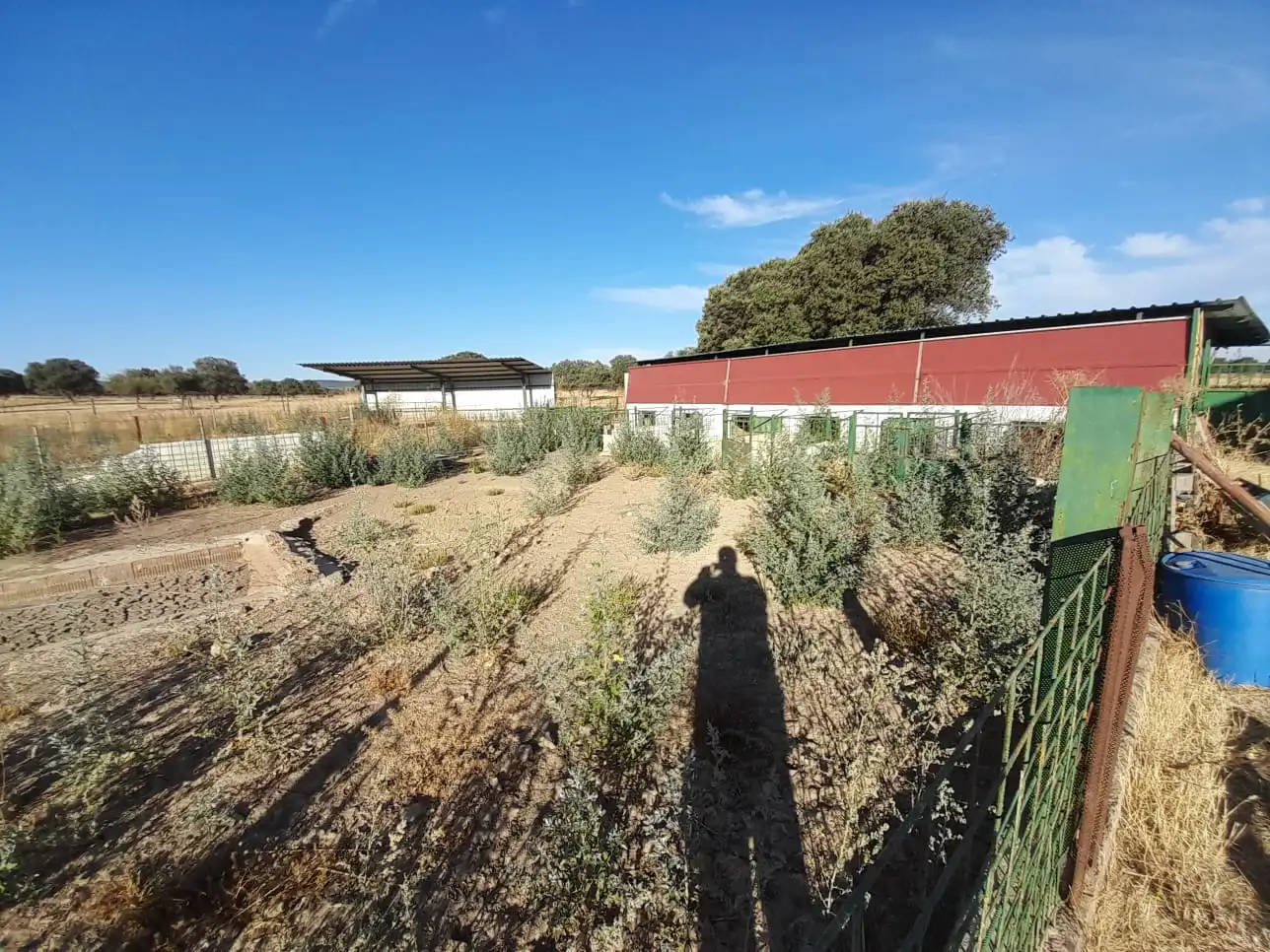 Vista exterior de Finca rústica en venta en Almodóvar del Campo con Aire acondicionado y Calefacción