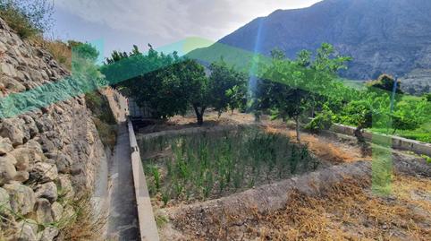Foto 3 de Finca rústica en venta en Partida Font de Mira, Orxeta, Alicante