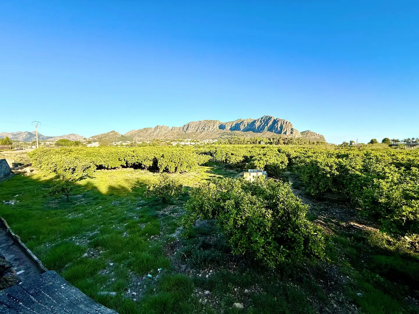 Vista exterior de Terreno en venta en Beniarbeig