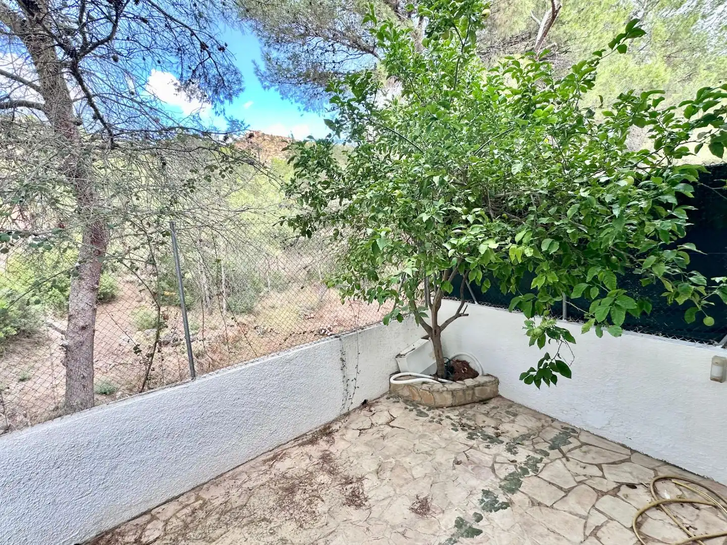 Jardí de Casa adosada en venda en Gilet amb Terrassa, Piscina i Balcó