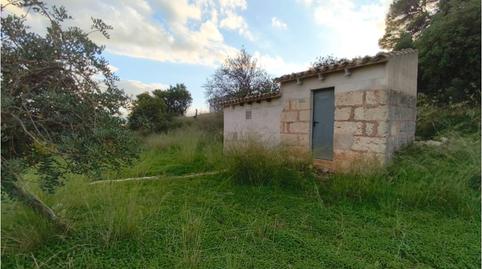 Photo 4 of Country homes for sale in Diseminados Poligono 9, Son Amonda - Reis Catòlics, Inca