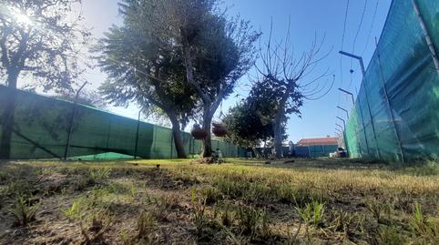 Foto 2 de Residencial en venda a C/ Mar del Caribe, Puerto Deportivo, Chipiona