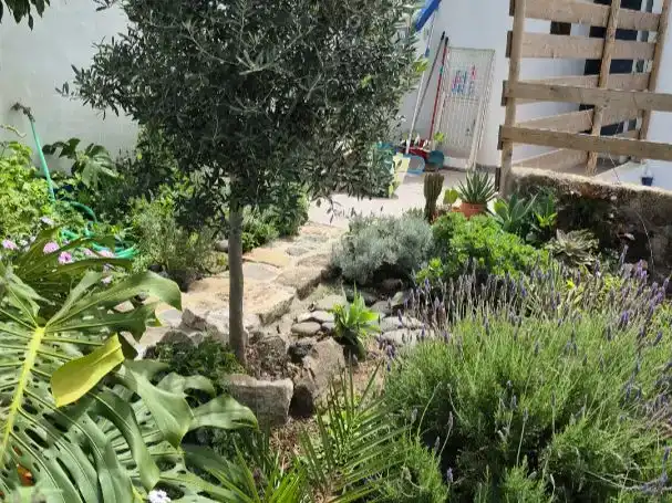 Jardí de Casa adosada en venda en Los Silos amb Jardí privat, Parquet i Piscina