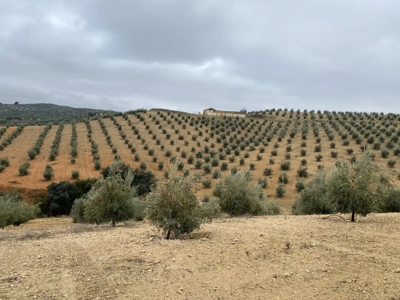 Casa rustica in vendita a Huétor Tájar, imagen 7