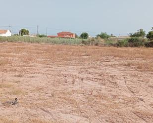 Casa o xalet en venda en San Vicente del Raspeig / Sant Vicent del Raspeig amb Terrassa