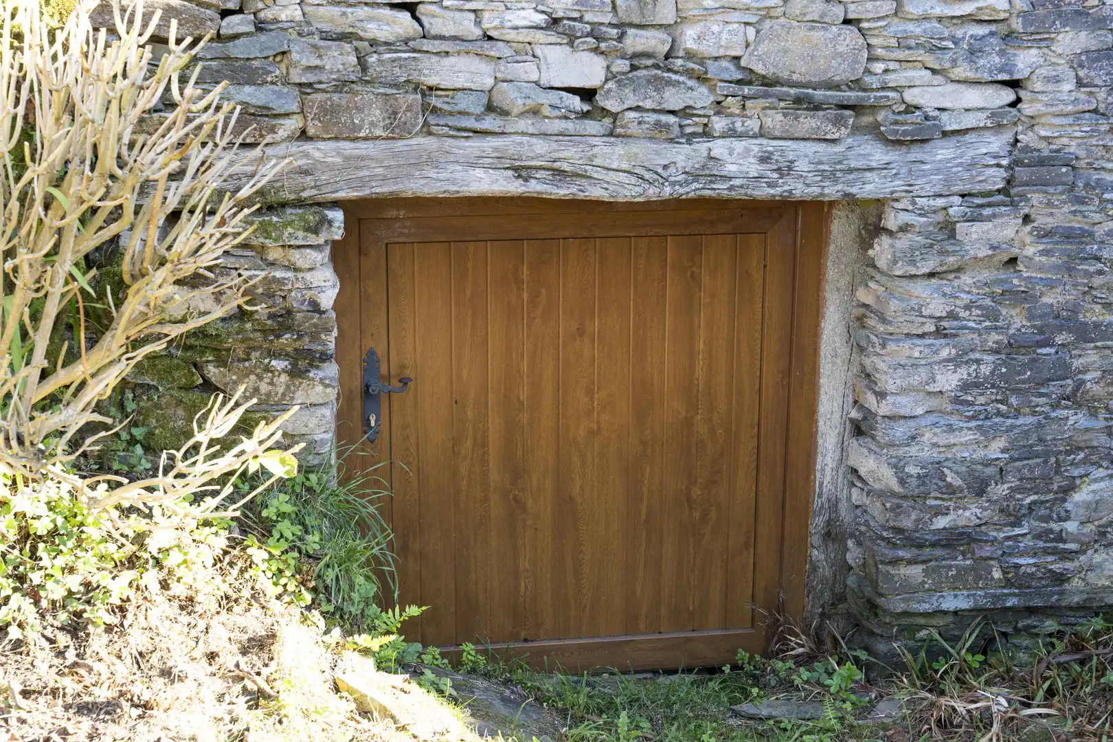Vista exterior de Finca rústica en venta en San Tirso de Abres con Amueblado