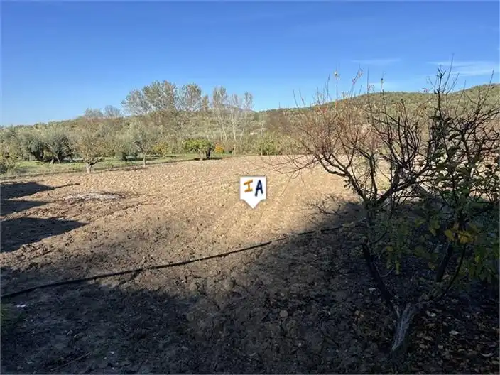 Finca rústica en venta en Castillo de Locubín