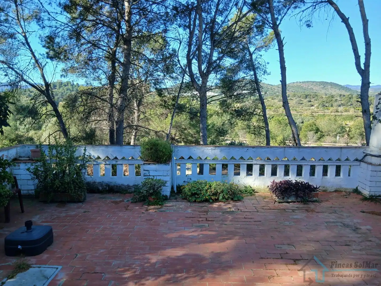 Jardín de Casa o chalet en venta en Alfara de la Baronia con Terraza