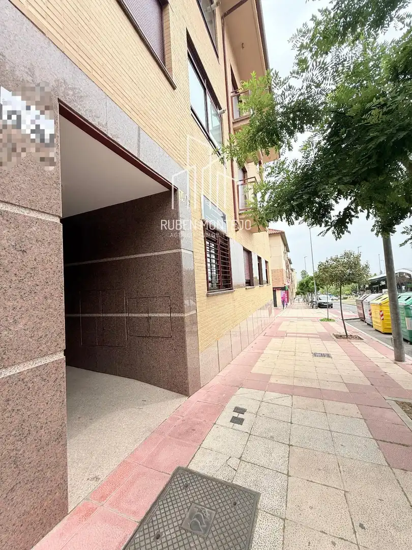 Pis de lloguer a Luis Sala Balust, Pizarrales