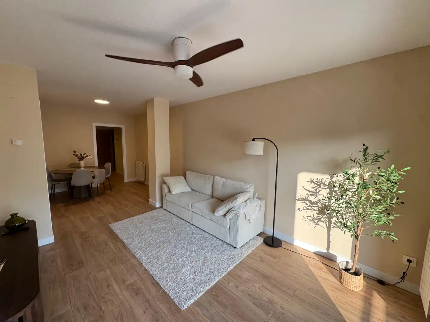 Living room of Flat for sale in Sant Jaume de Llierca  with Heating, Storage room and Balcony