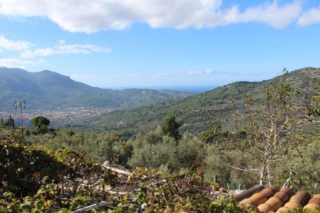 Finca rústica en Venta en Camino Fornalutx en Fornalutx