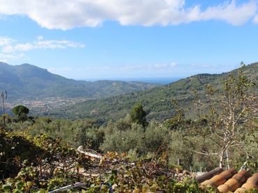 Maison rustique avec jardin à vendre à Camino Fornalutx