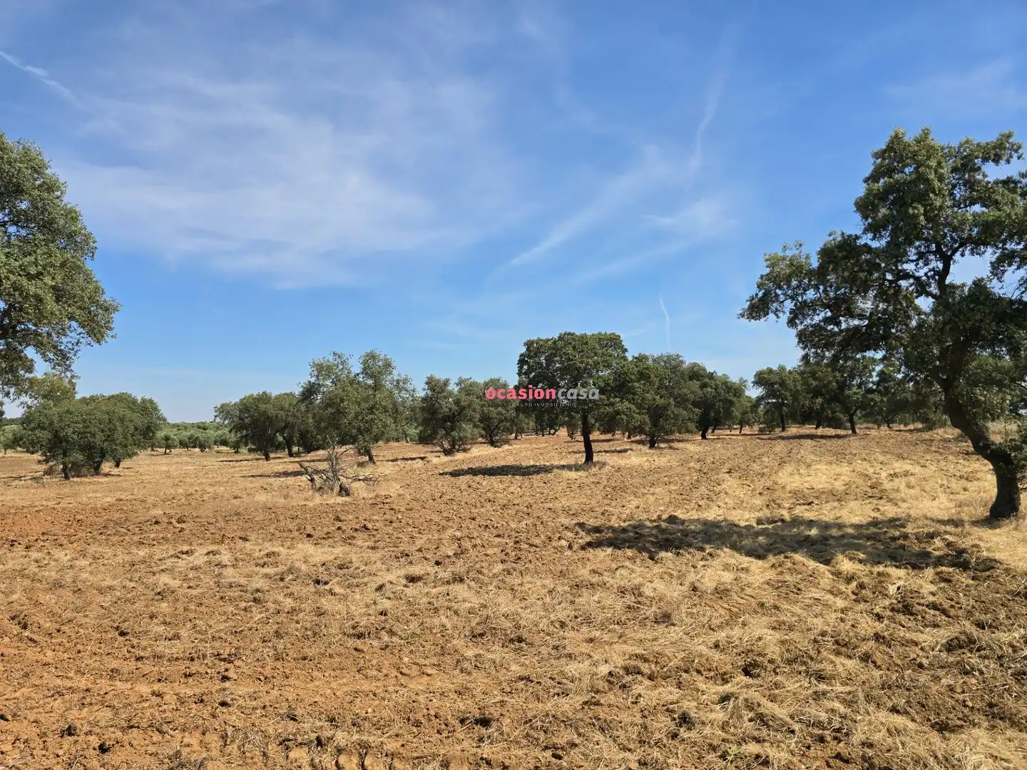 Casa o xalet en venda en Villanueva del Duque amb Jardí privat, Traster i Piscina