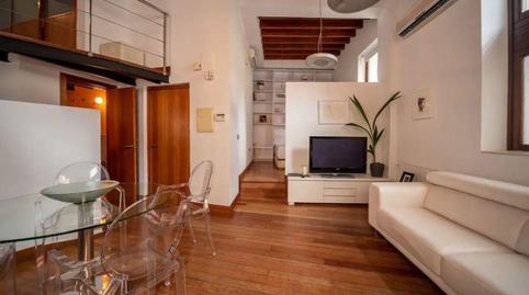 Photo 3 of Planta baja to rent in Antonio Susillo, San Gil, Sevilla