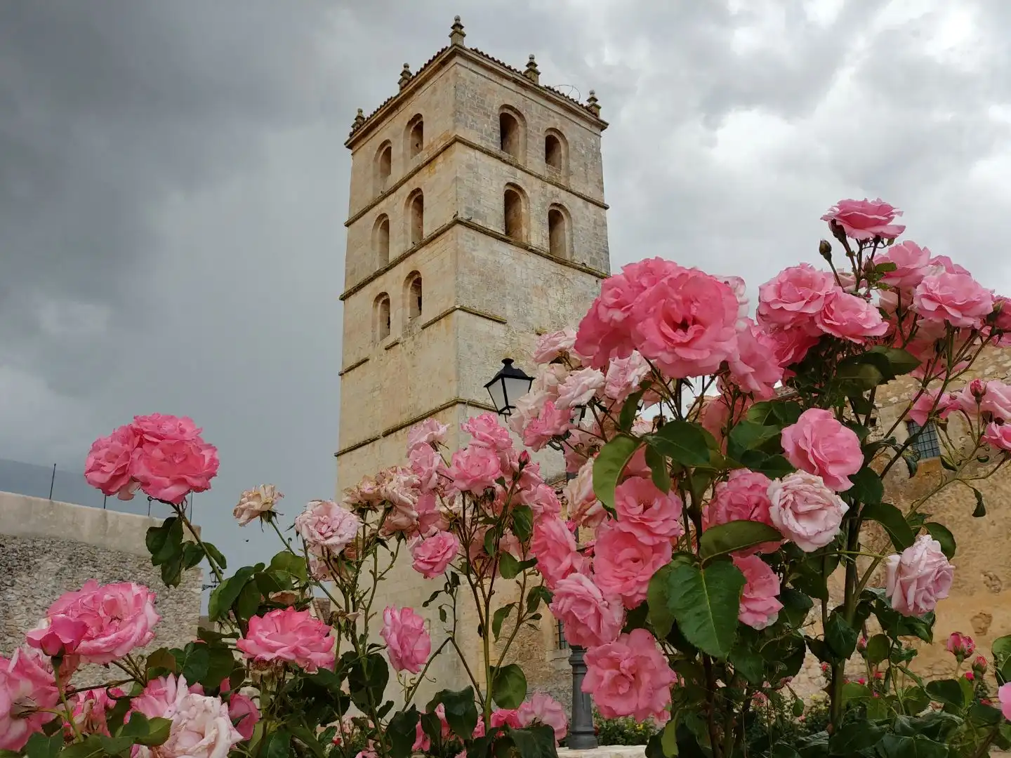Garden of Residential for sale in Cedillo de la Torre