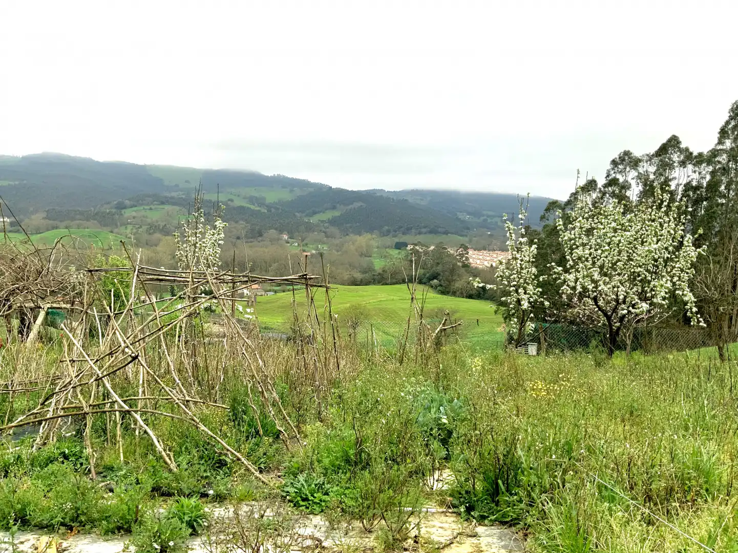 Terreni e lotti in vendita a Hazas de Cesto - Barrio Liegra 2, imagen 3