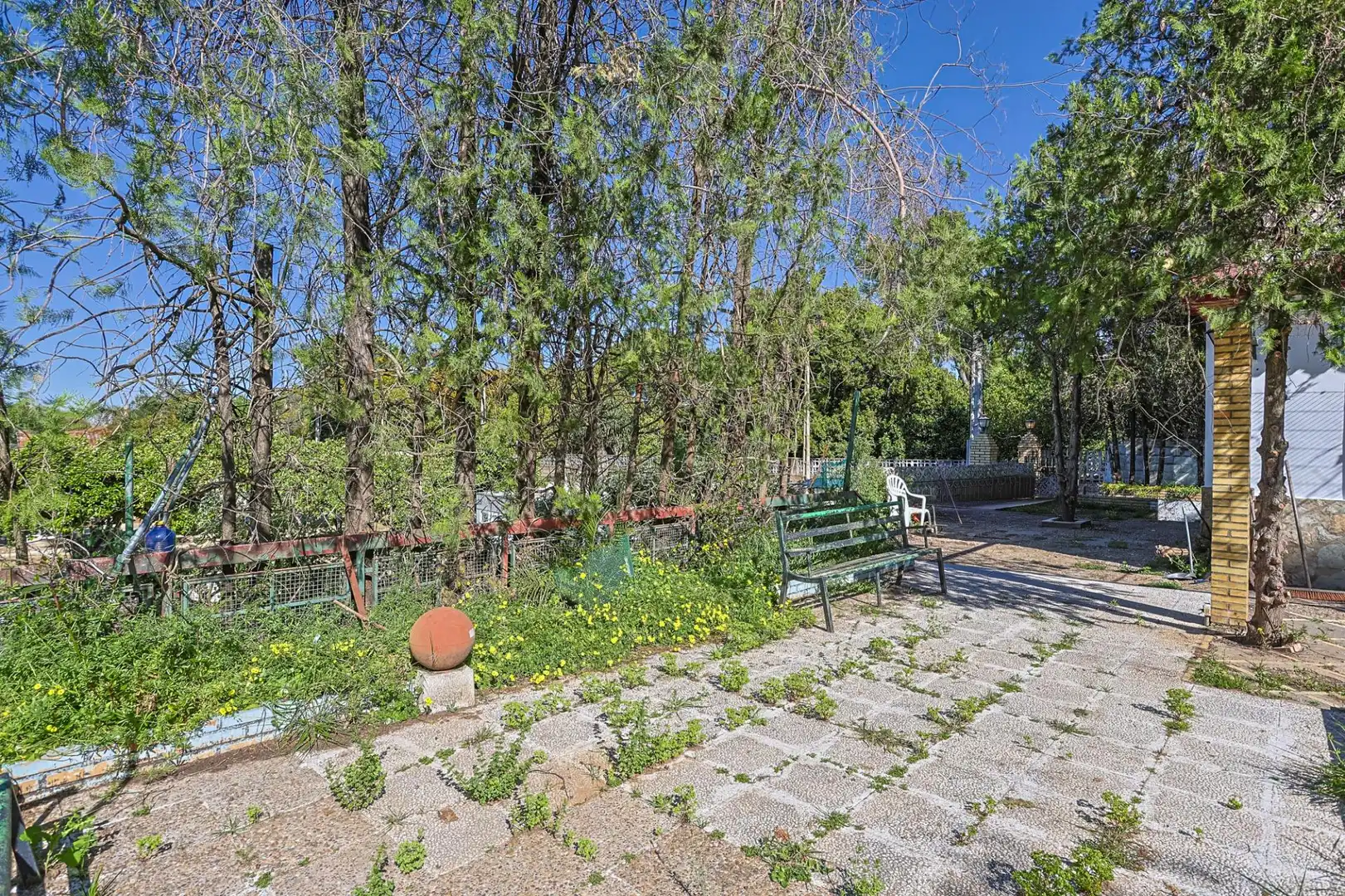 Jardí de Casa o xalet en venda en Sanlúcar la Mayor amb Aire condicionat i Piscina