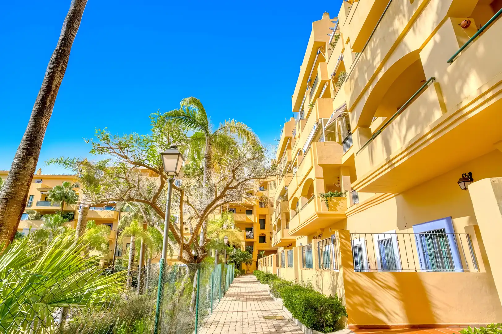 Apartament amb terrassa en venda a San Pedro de Alcántara, imagen 3