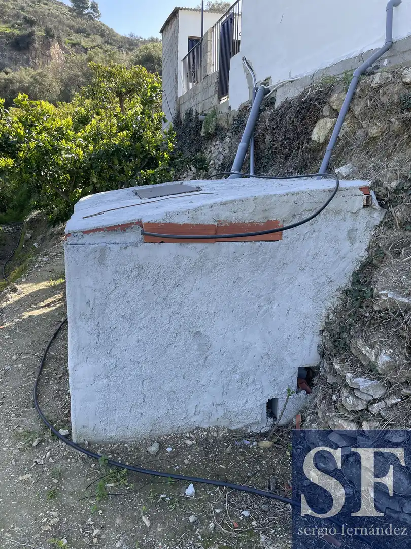 Vista exterior de Finca rústica en venta en Cómpeta