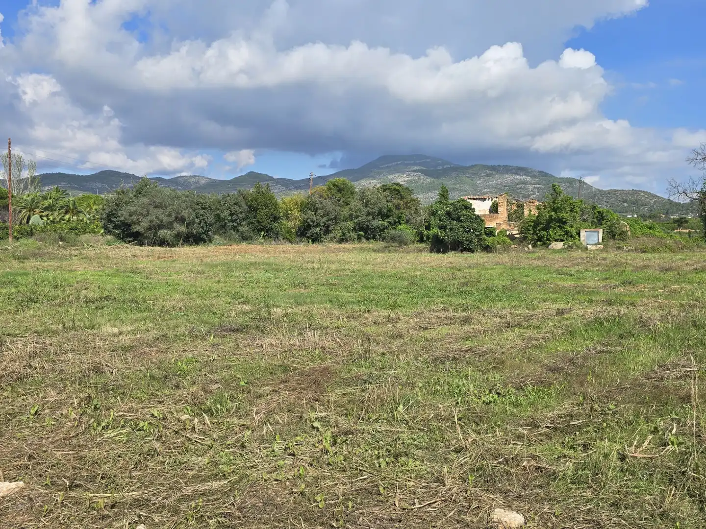 Terrain rustique à vendre à Partida las Casas, imagen 6