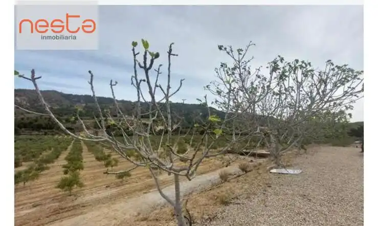 Country homes for sale in Lorca