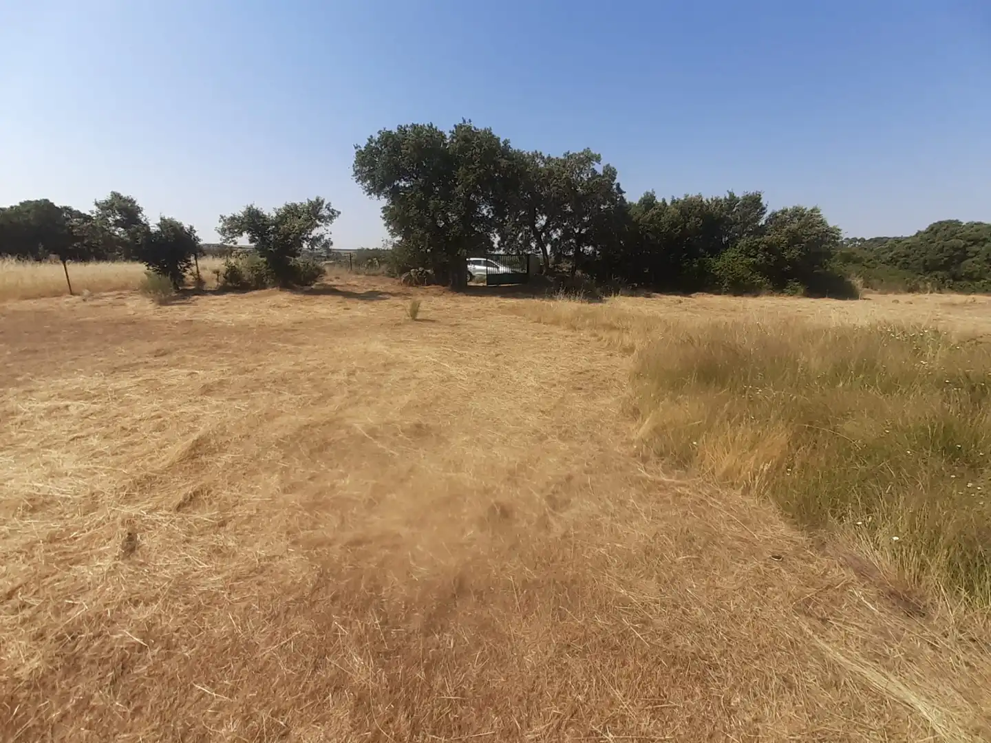 Land for sale in Almeida de Sayago