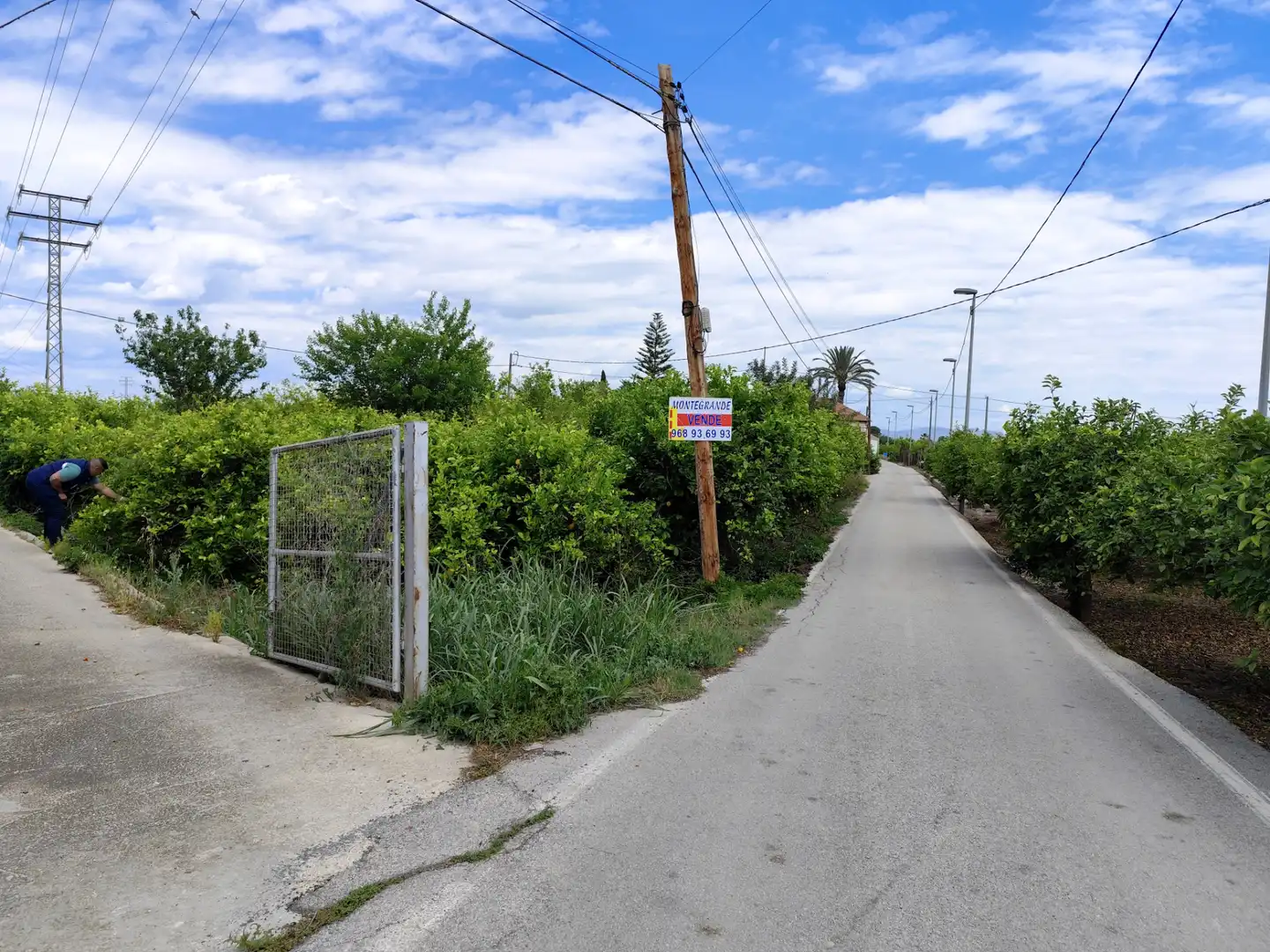 Terrenys i solars en venda a Camino Viejo de Orihuela 12