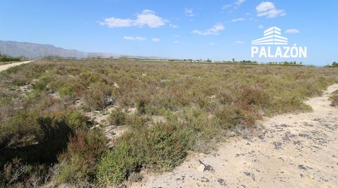 Finca de cultivo en venta en Crevillente Alicante, immagine 2