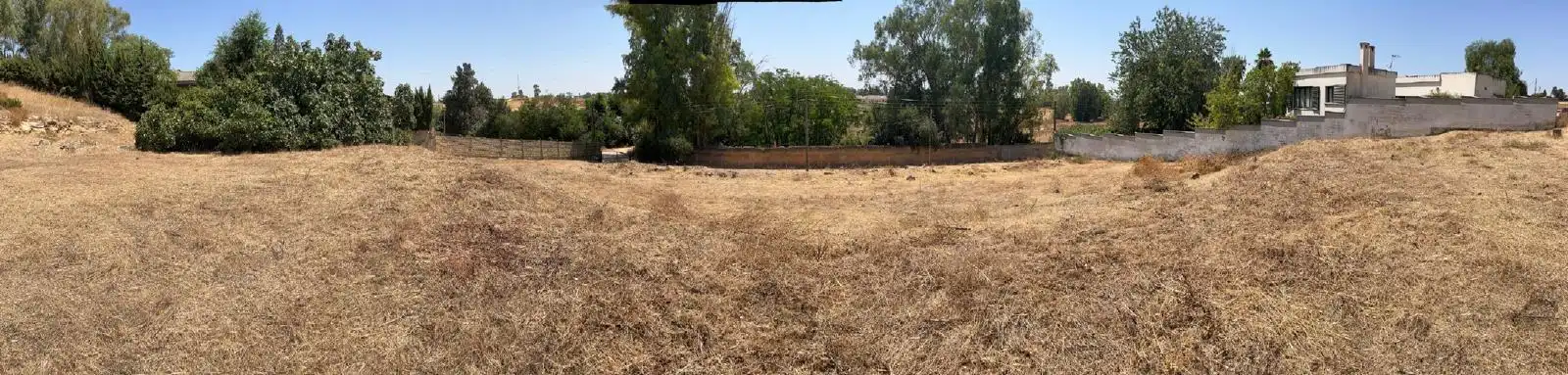 Rural land for sale in Nueva Alcalá, imagen 9