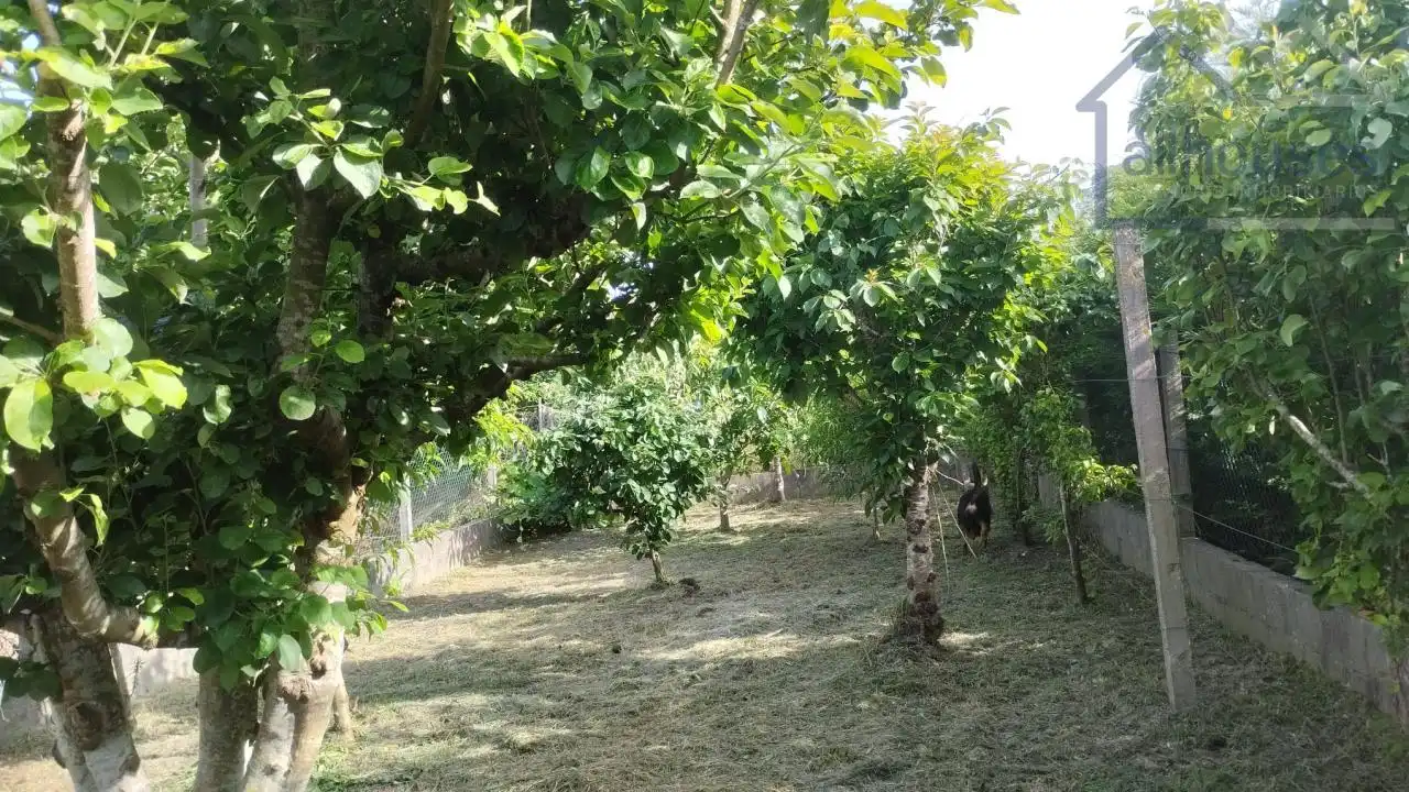 Xalet amb jardí en venda a A Guarda, imagen 64
