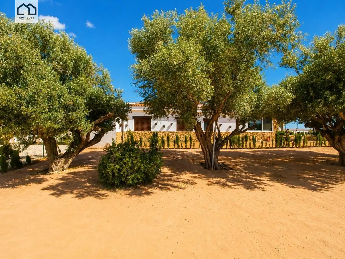 Casa rústica amb piscina en venda a Dolores, imagen 7