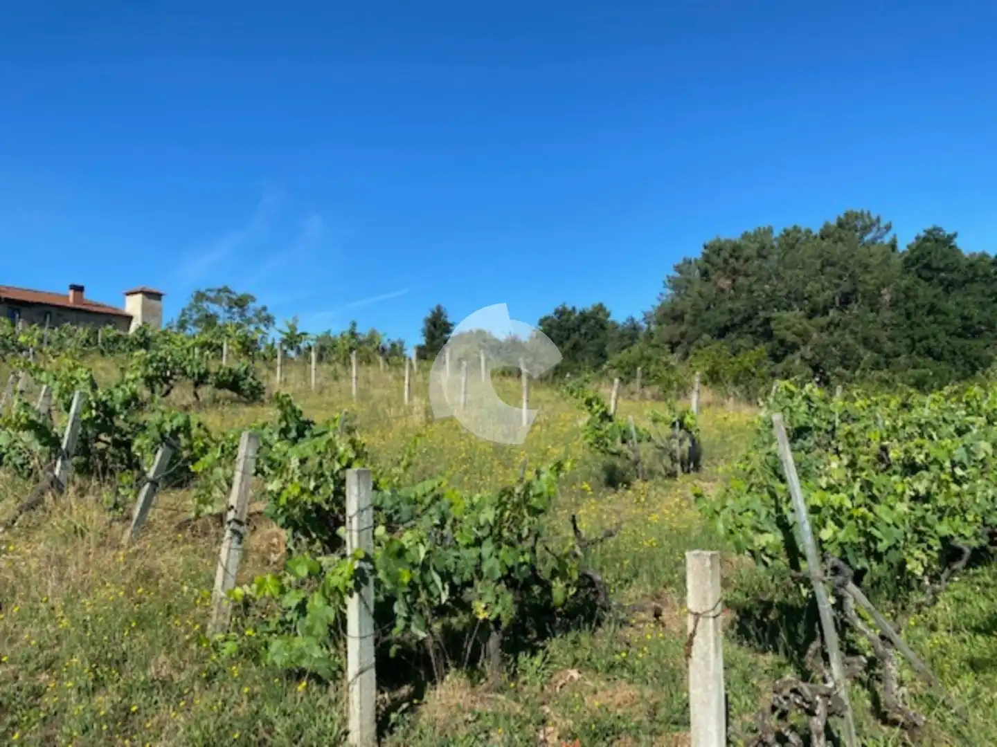 Terreni e lotti in vendita a Barbadás, imagen 24