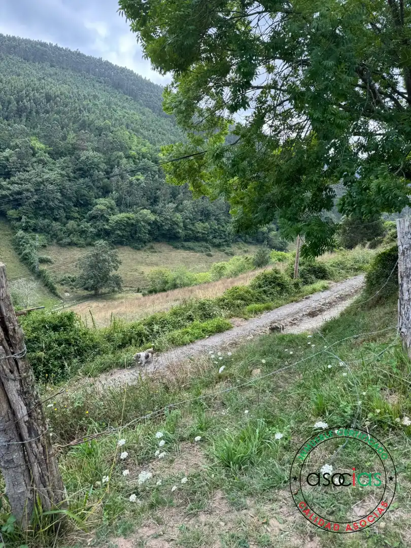 Terreny en venda en Villaviciosa