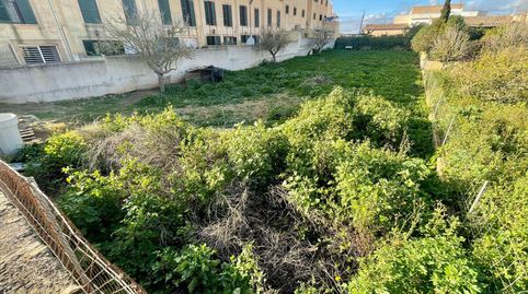 Foto 3 de Terreny en venda a S'Horta - Cas Concos des Cavaller - Es Carritxó, Felanitx